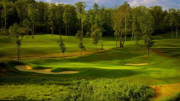 Golden Eagle GC: #16