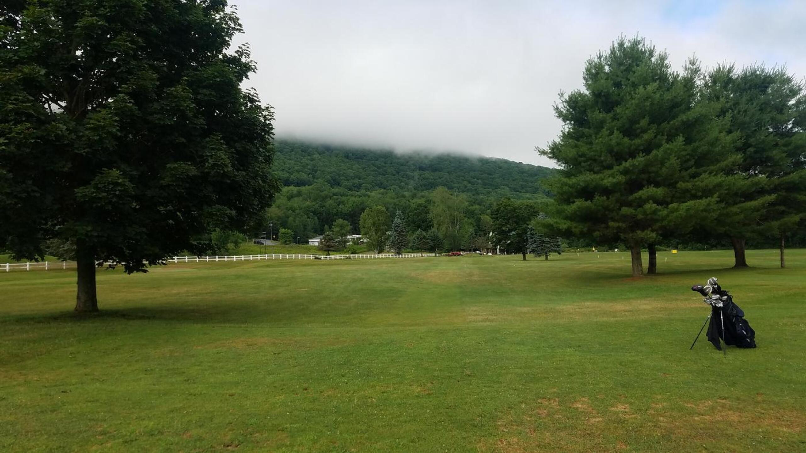 (Photo submitted by Luckyshank on 07/31/2020)