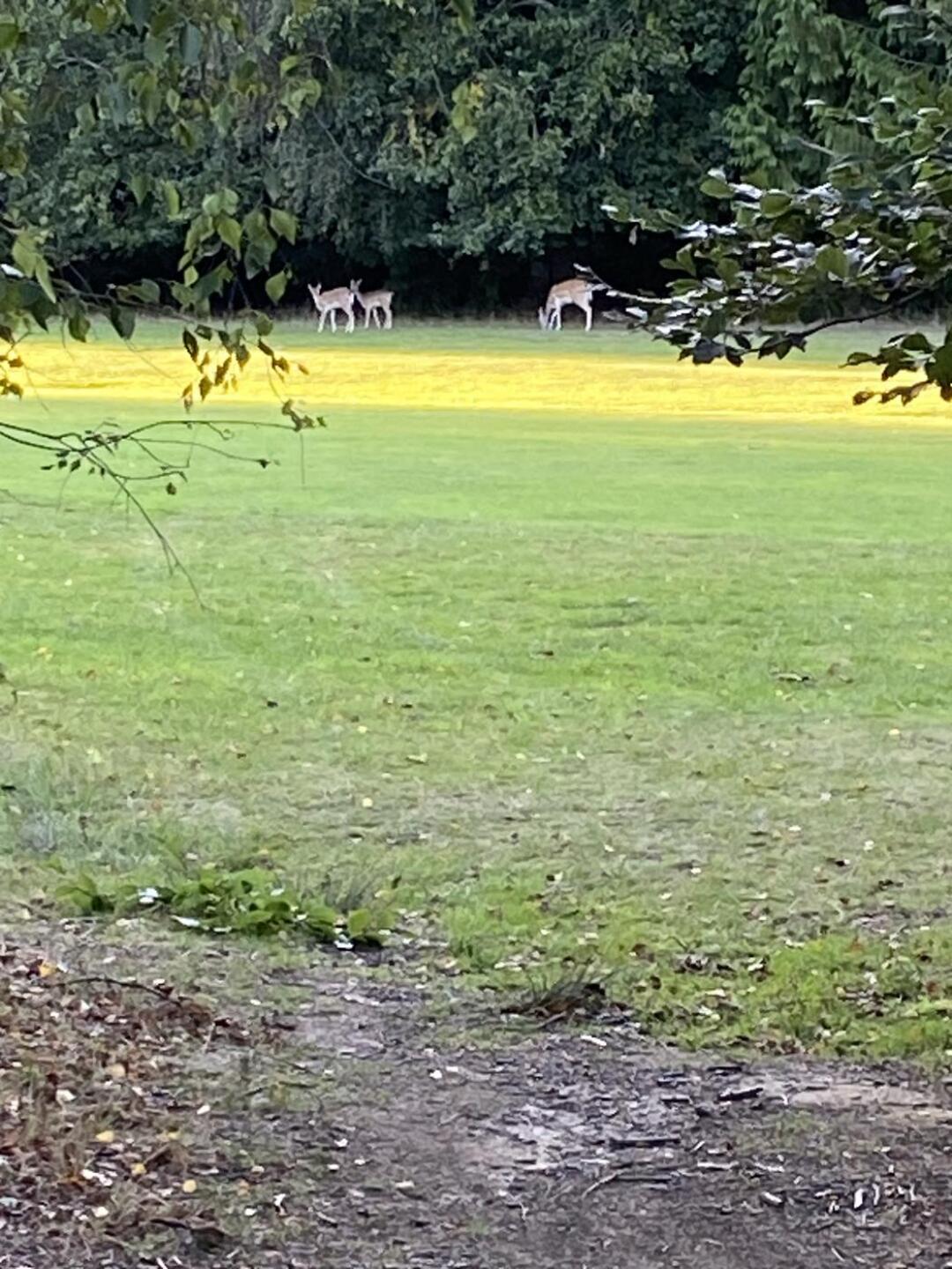 (Photo submitted by ZxgDOMtrprmtBbAJ1ywW on 09/07/2025)