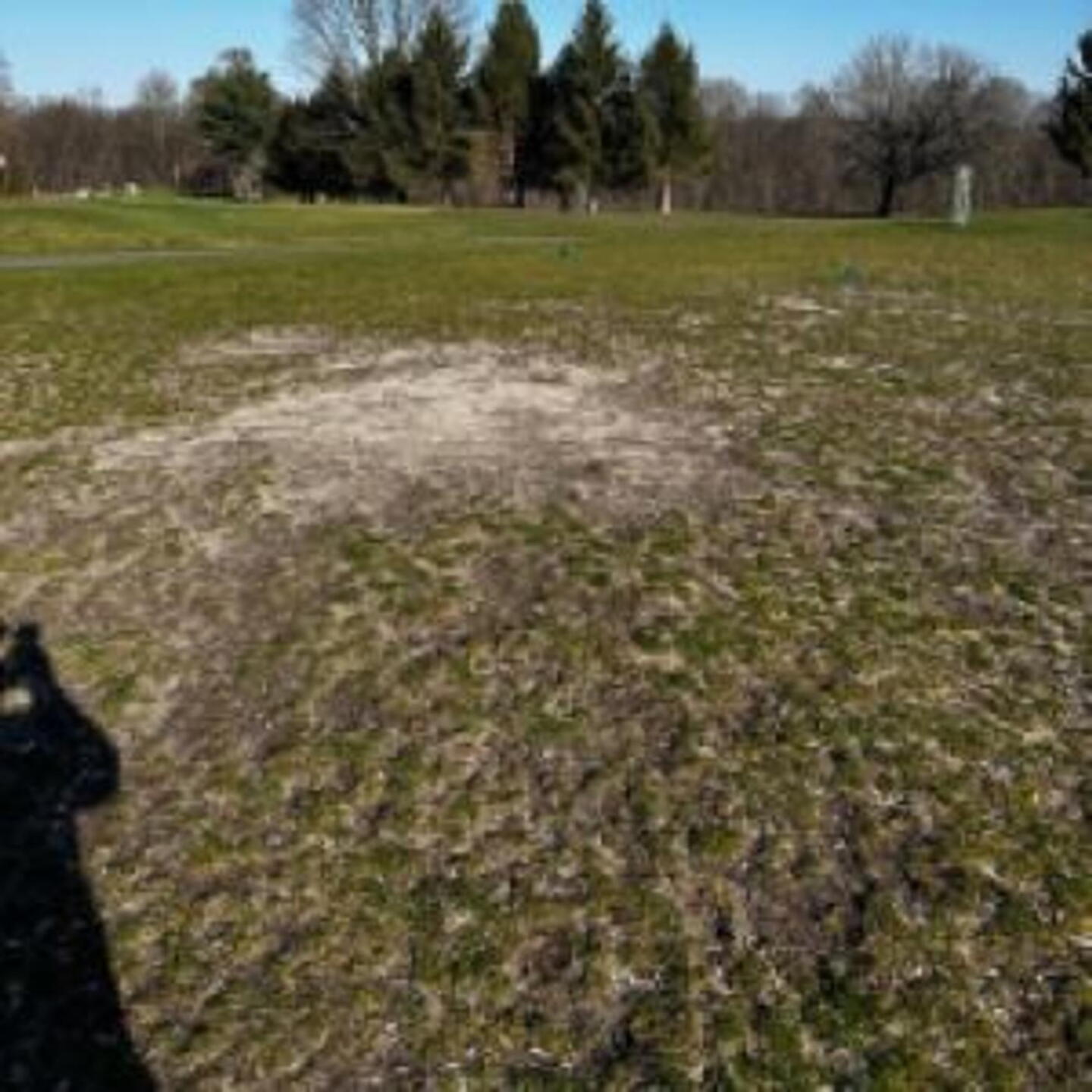 9 tee (Photo submitted by nj0999 on 03/29/2024)