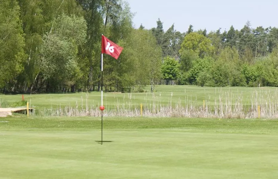 Lichtenau-Weickershof GC: #16