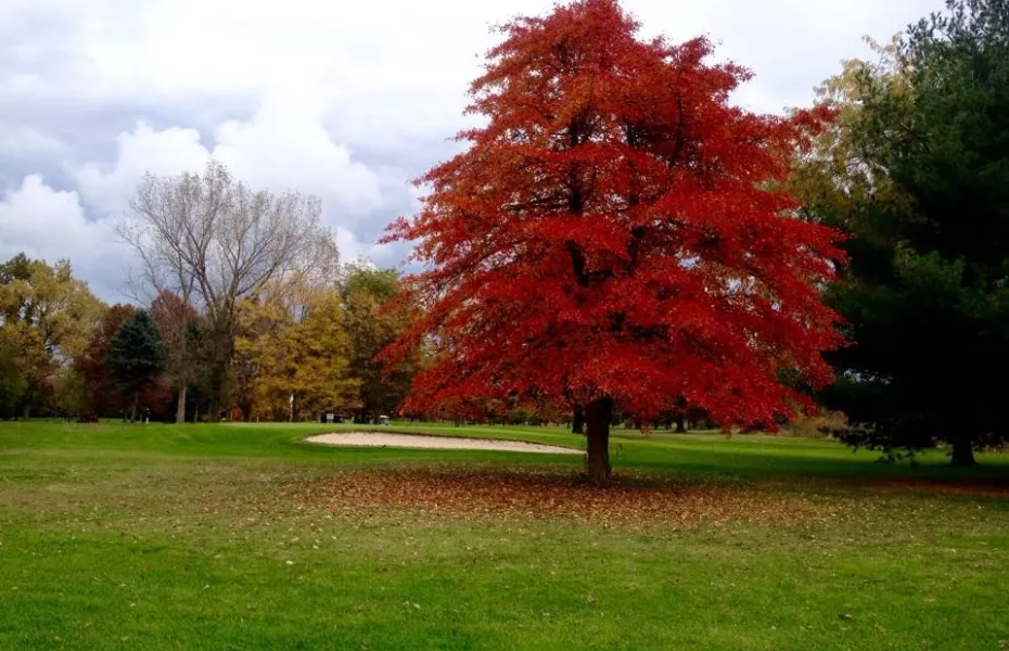 West Ottawa GC