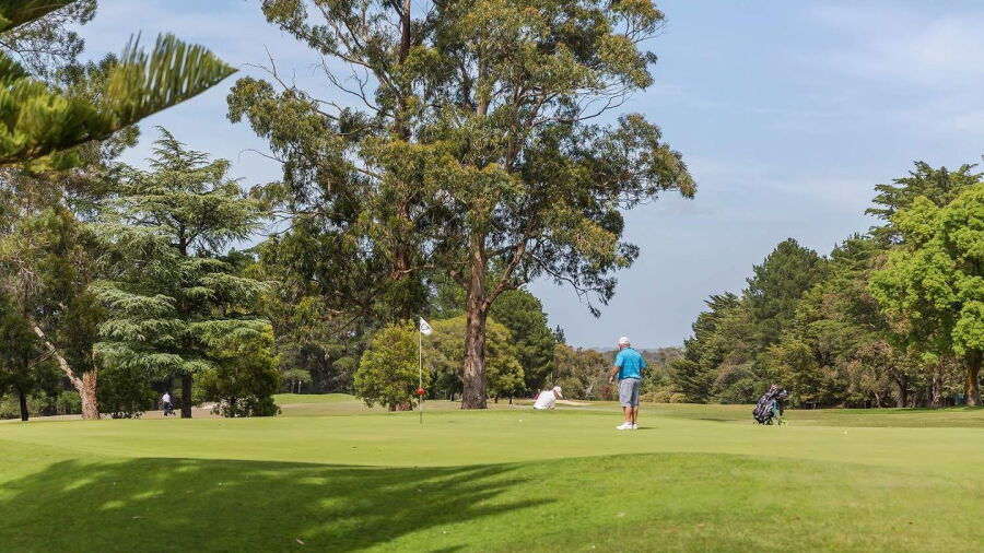Blackwood GC