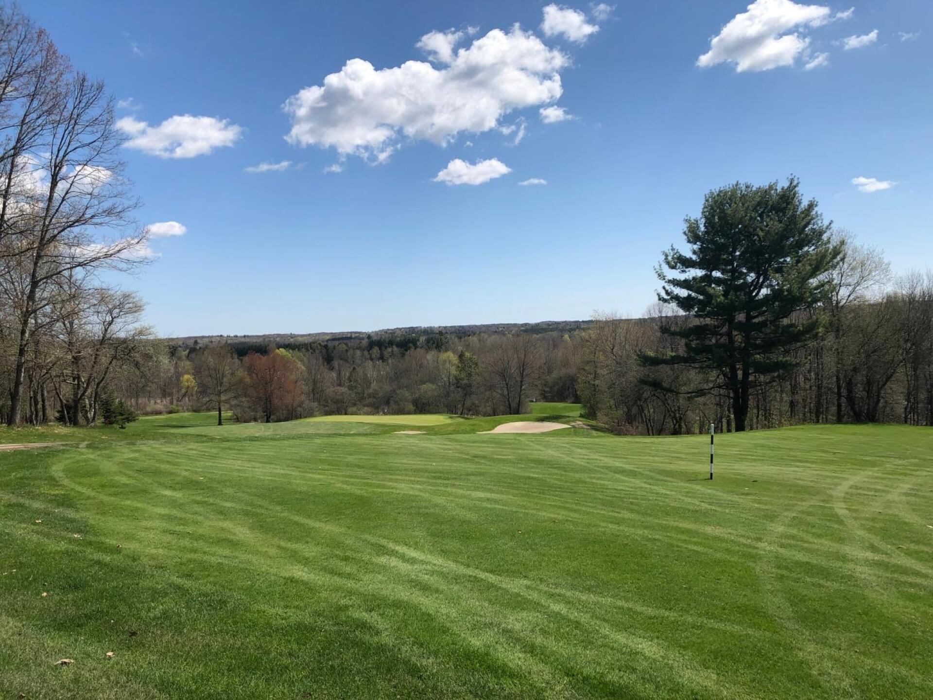 (Photo submitted by Adam1219940 on 05/05/2019)