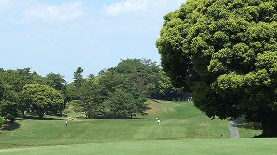 Sakura GC