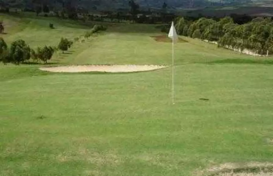 Potrerillo GC: #15