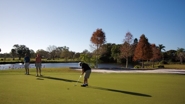 Seminole Lake Country Club - greens
