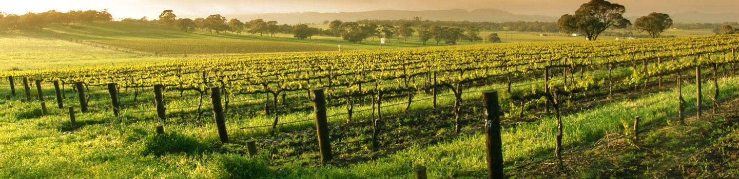 Napa Valley