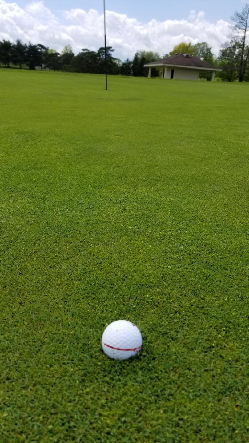 (Photo submitted by arlowe13 on 04/27/2019)