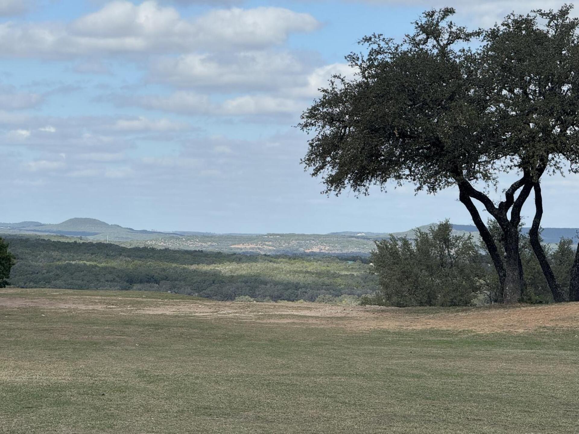 (Photo submitted by WtSpbi9ftJjylePjyFNA on 11/14/2025)