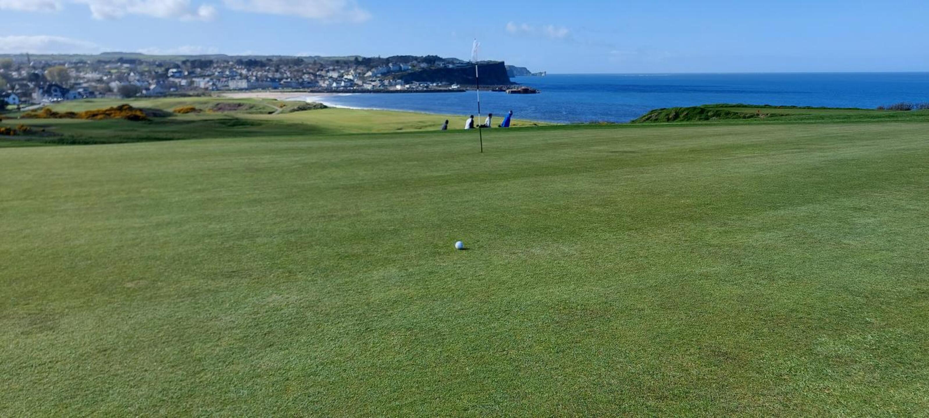 (Photo submitted by Brian250954 on 04/08/2023)