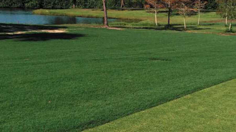 Suntree CC