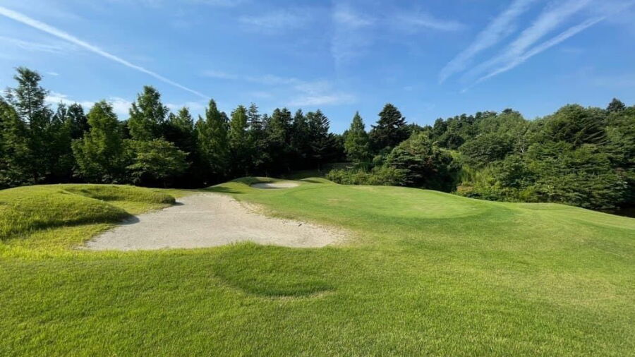 Taiwa GC: #14