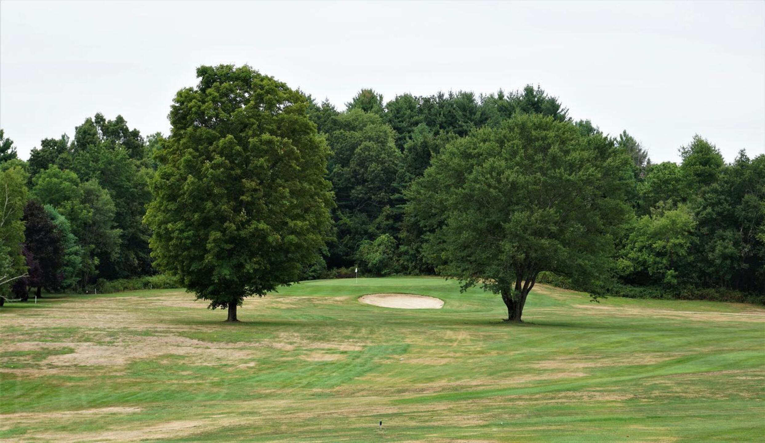 These two mature trees, one in the left rough and the other in the fairway, make a clear statement on your second shot on the par-5 fourth hole. (Photo submitted by AptlyLinked on 08/14/2020)