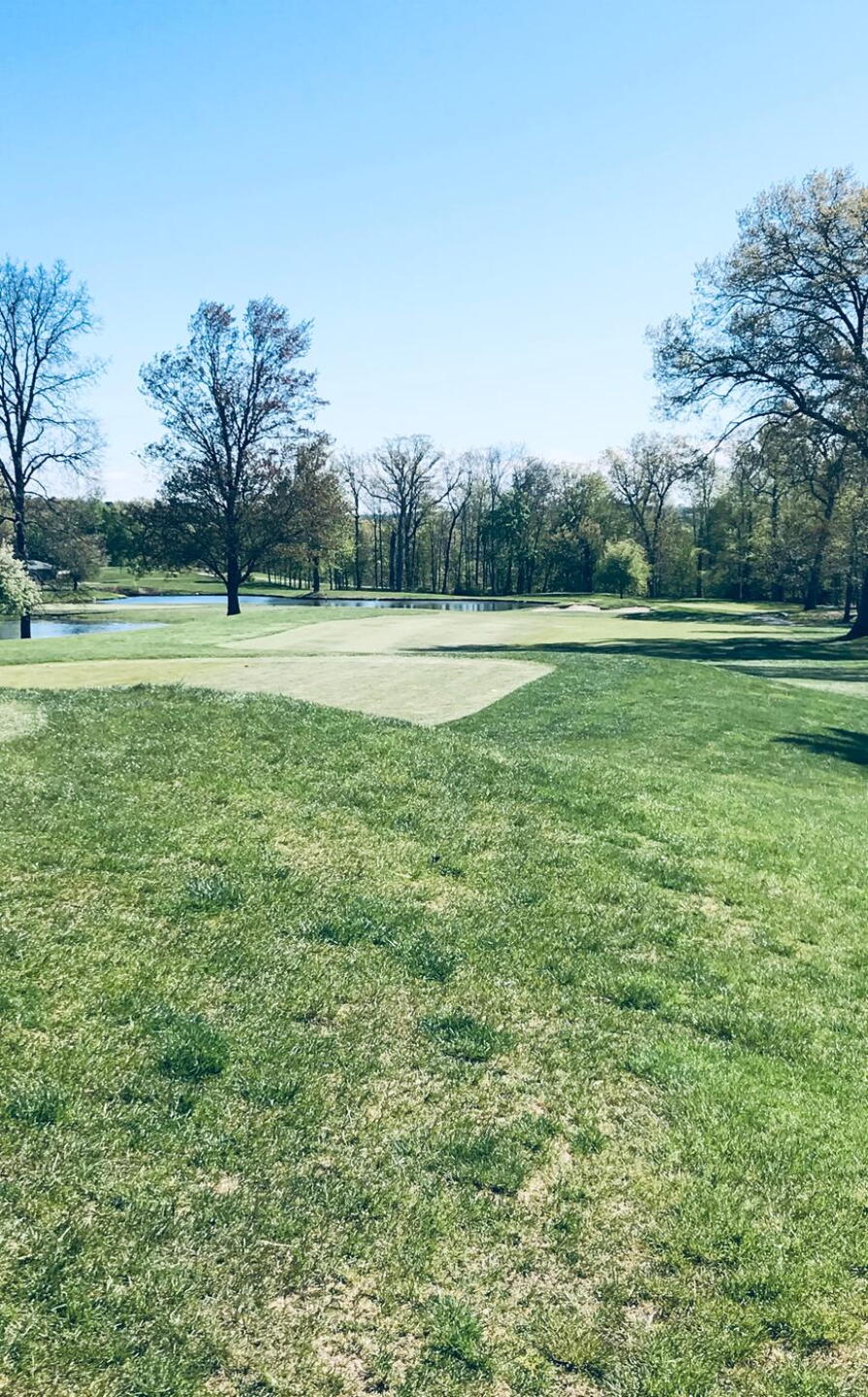 14th Hole (Photo submitted by PJCdude on 05/14/2020)