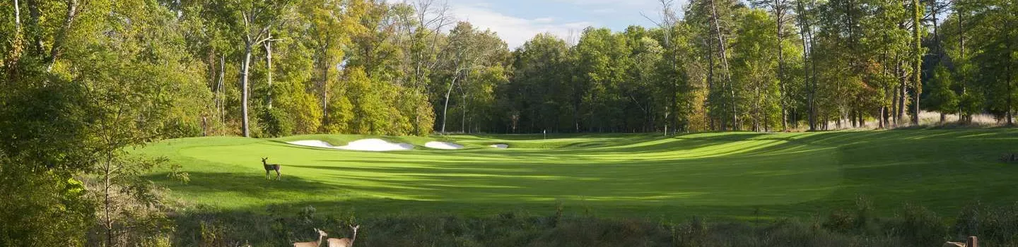 The GC at Lansdowne - The Norman: #11