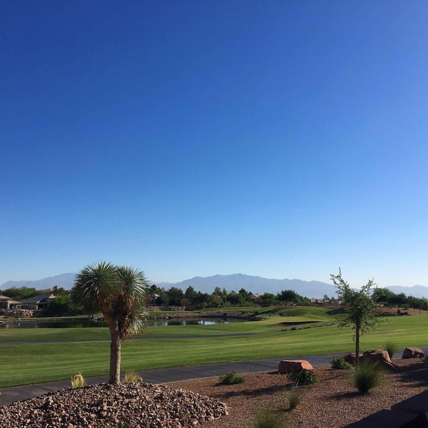 (Photo submitted by zbuechner4 on 06/27/2019)