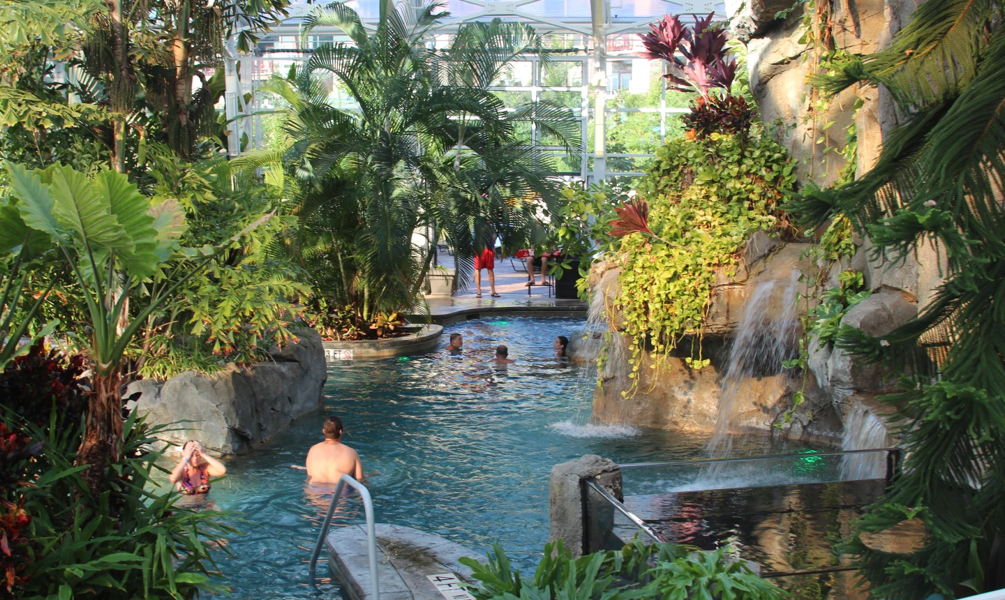 Grand Cascades Lodge at Crystal Springs - pool