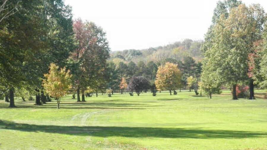 Dyer CC