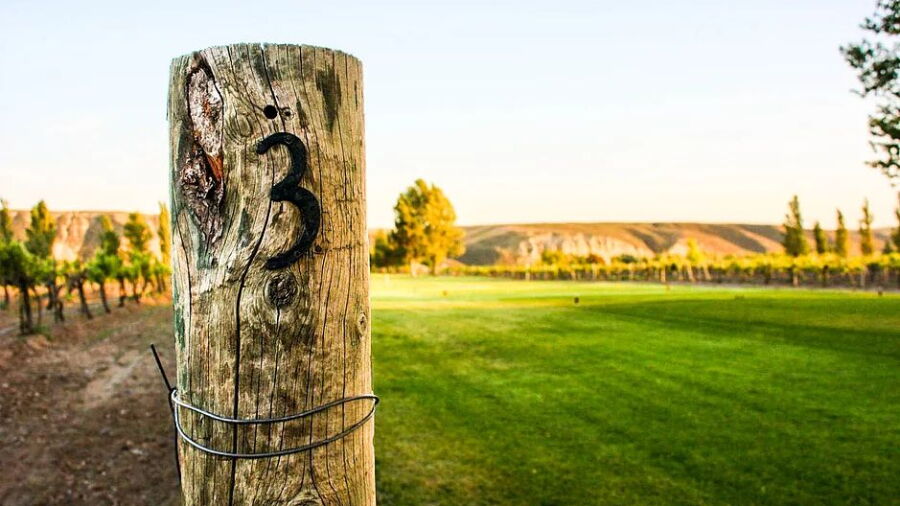 Vineyard Greens GC: #3