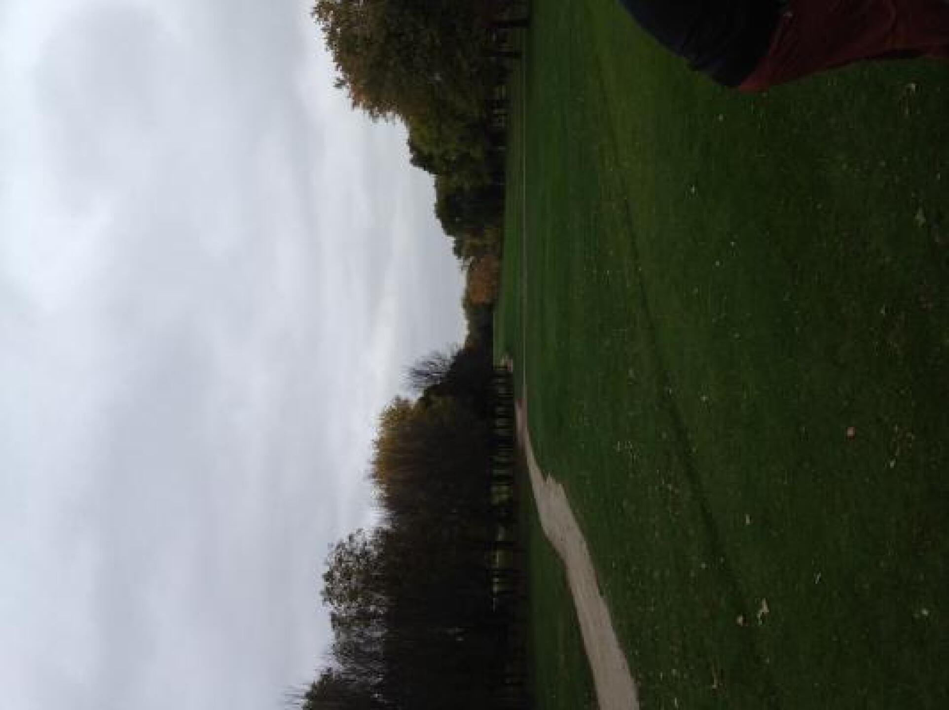 (Photo submitted by Jigg7557 on 11/02/2013)