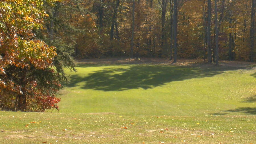 Dimmock Hill GC: #15