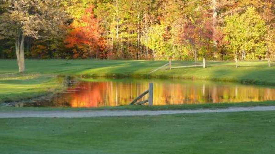 Michigan Meadows GC