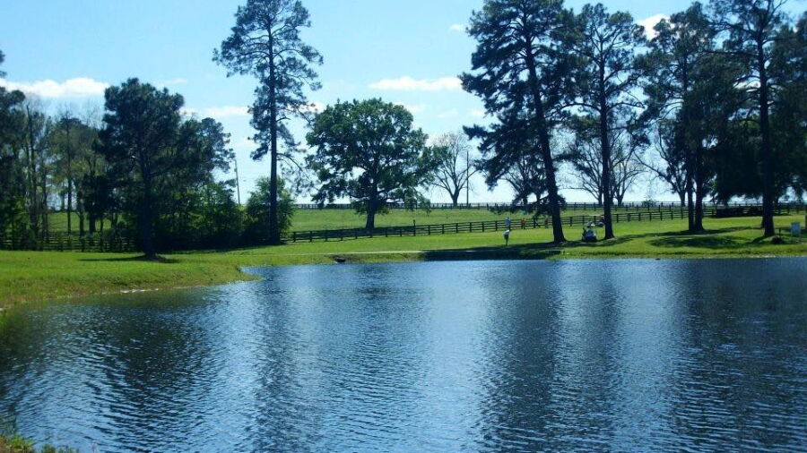 Turkey Creek GC