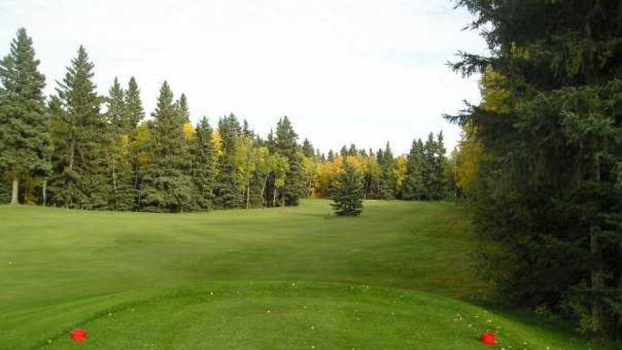Rimbey GC: #5