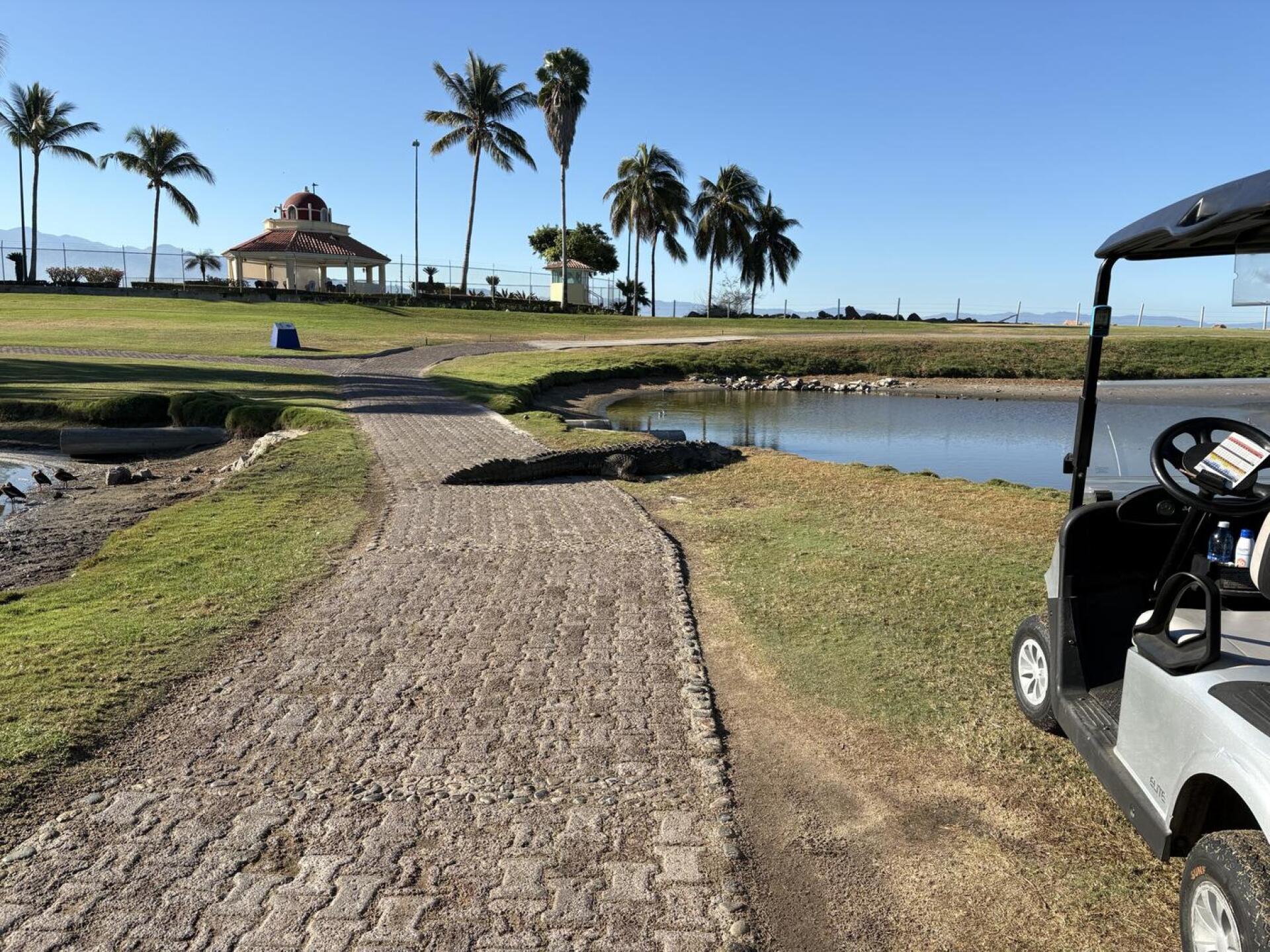 (Photo submitted by ZkS122vQWJpw63lyUPsz on 02/18/2026)