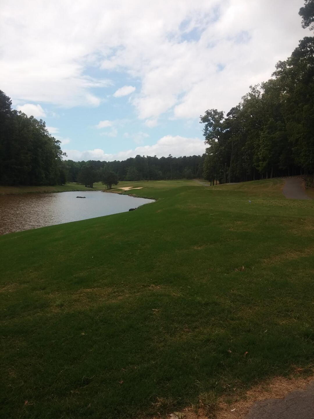 16 tee (Photo submitted by ccharles on 05/18/2015)