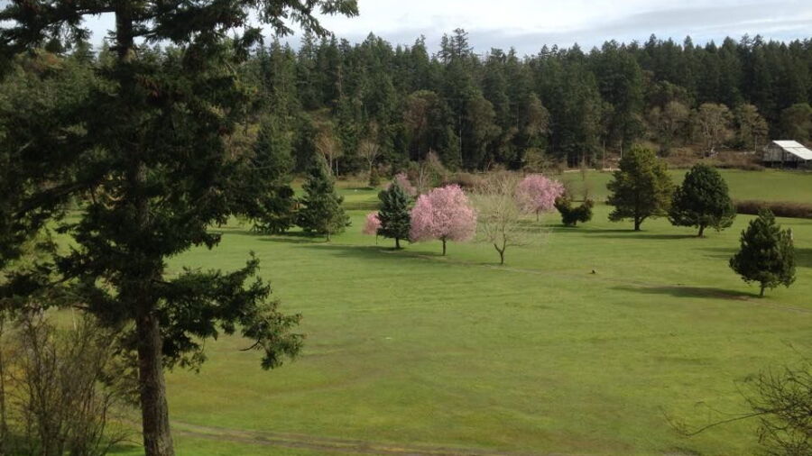 Pender Island GCC