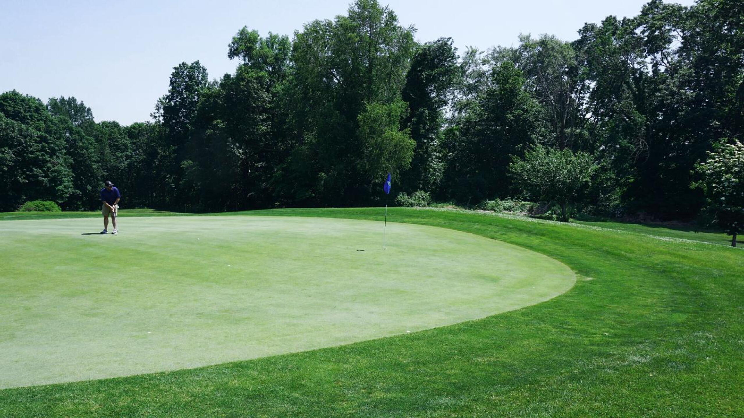 At three, Mike (an avid golfer I met on the course) putts for a birdie. (Photo submitted by AptlyLinked on 06/25/2021)