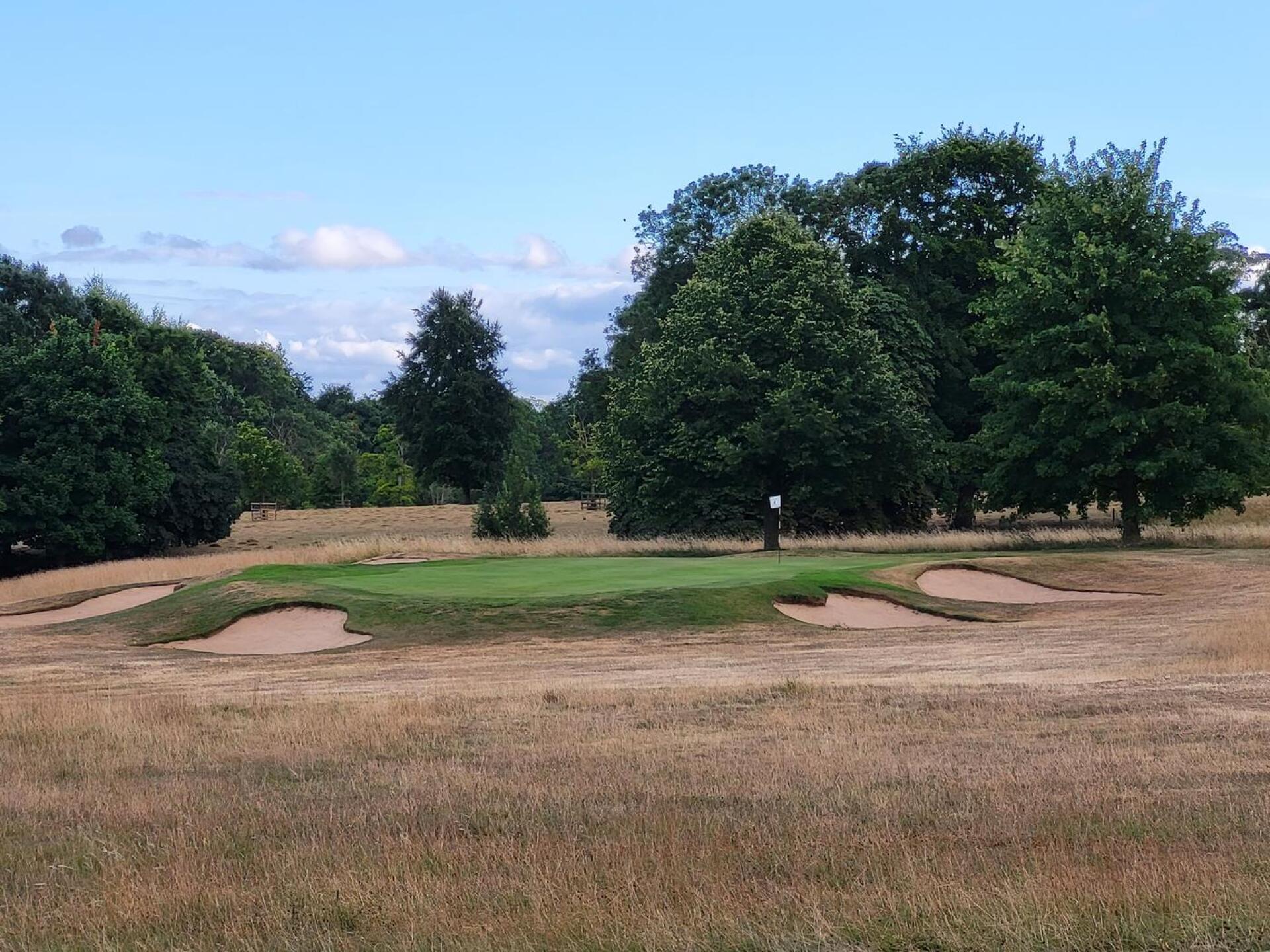 (Photo submitted by t363903352 on 07/26/2022)