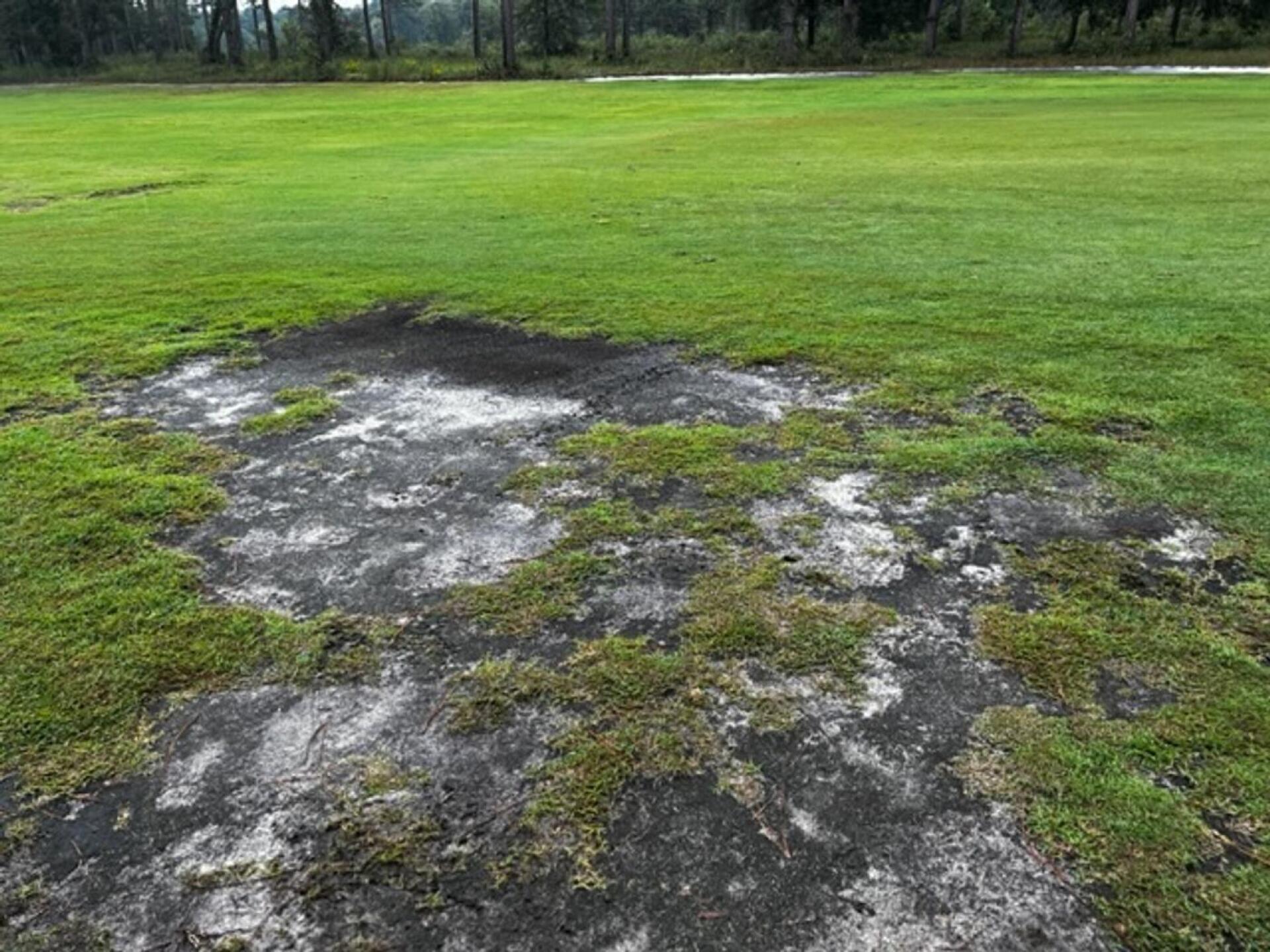 (Photo submitted by ecseps on 09/21/2023)