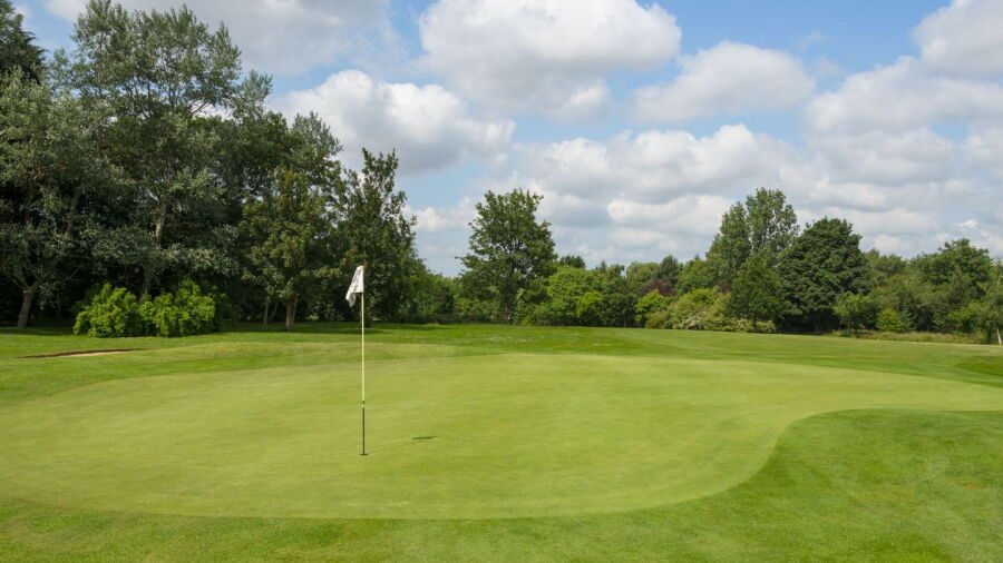 Glen Gorse GC: #8