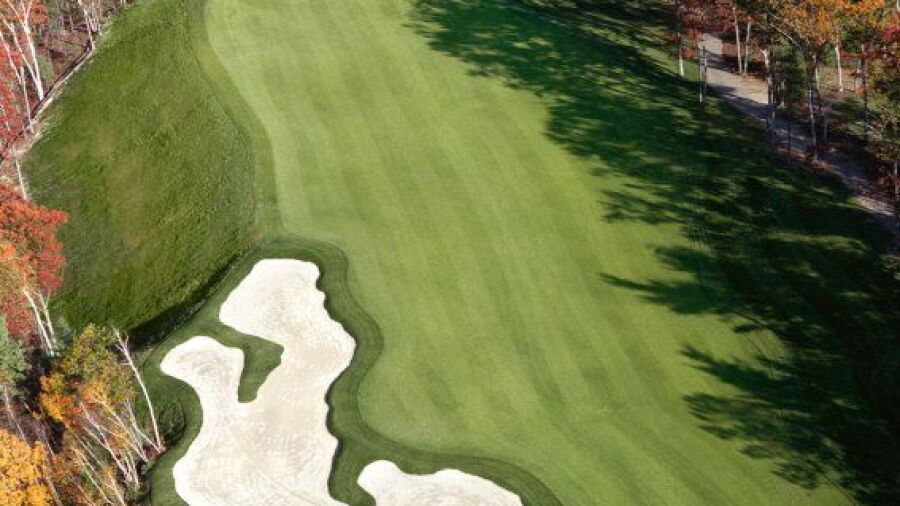 Red Tail GC: #6