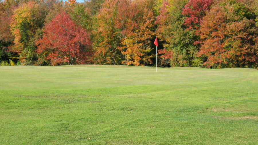 Skyline GC: #16