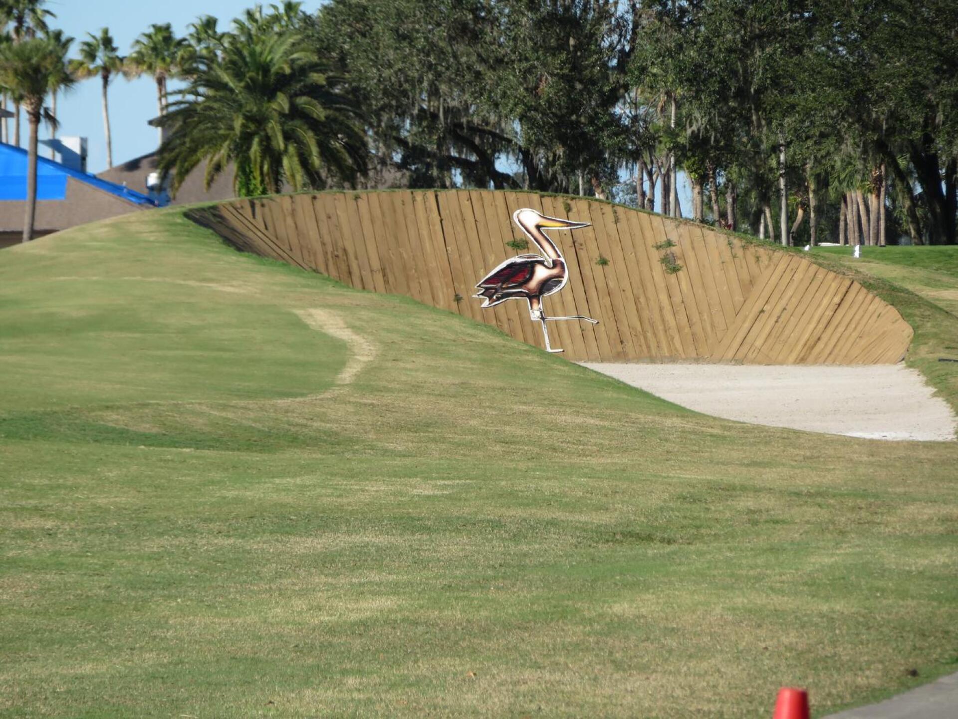 White heron (Photo submitted by sandier on 12/20/2022)