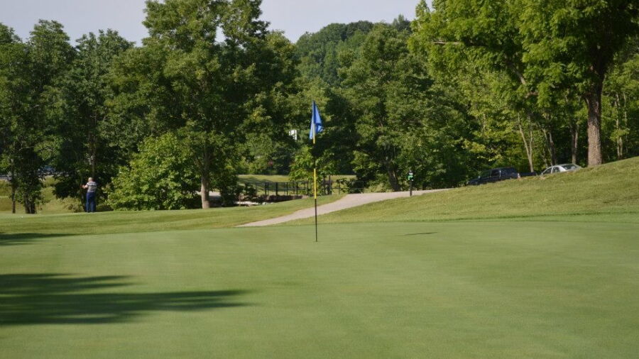 Lucas Oil GC