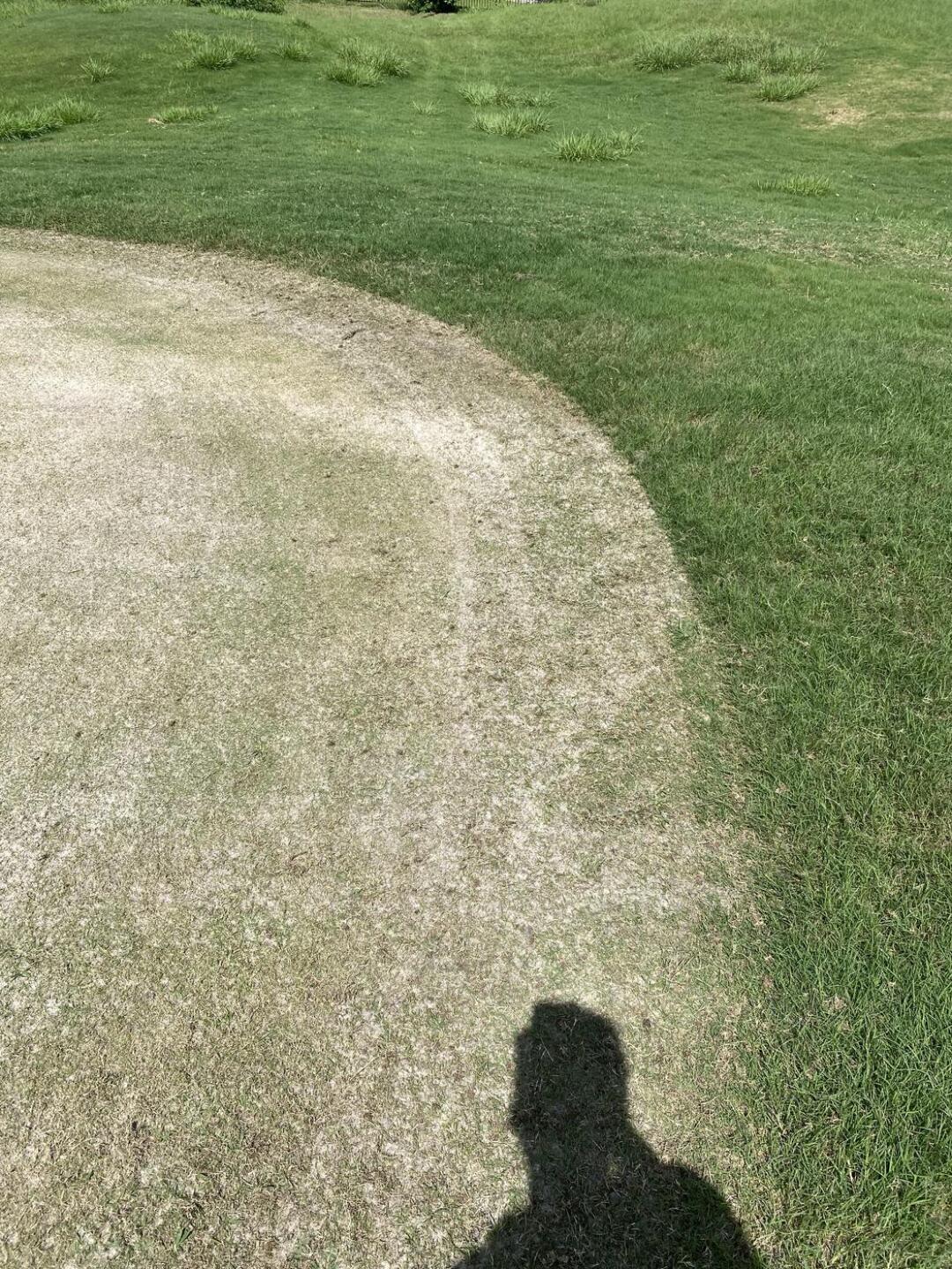 (Photo submitted by knaufbl on 08/02/2024)