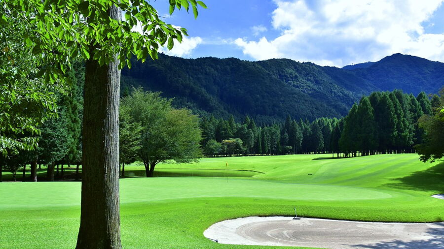 Cypress GC