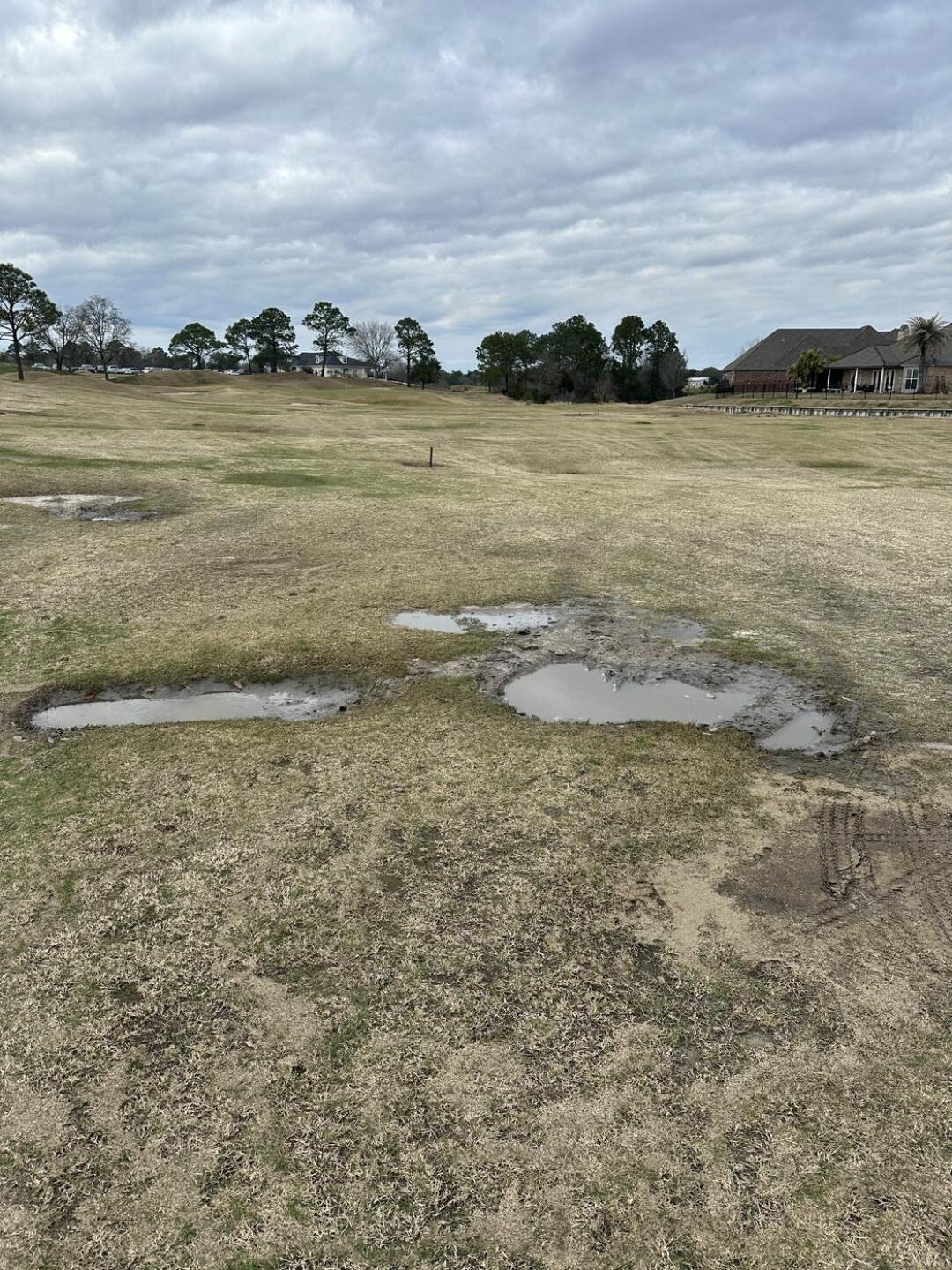 (Photo submitted by btconner on 02/17/2026)