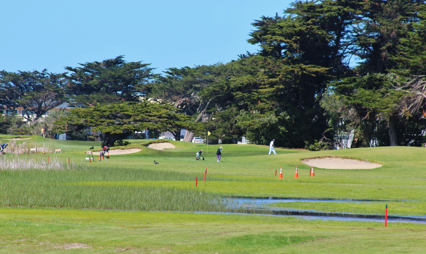 Sharp Park Golf Course - hole 14