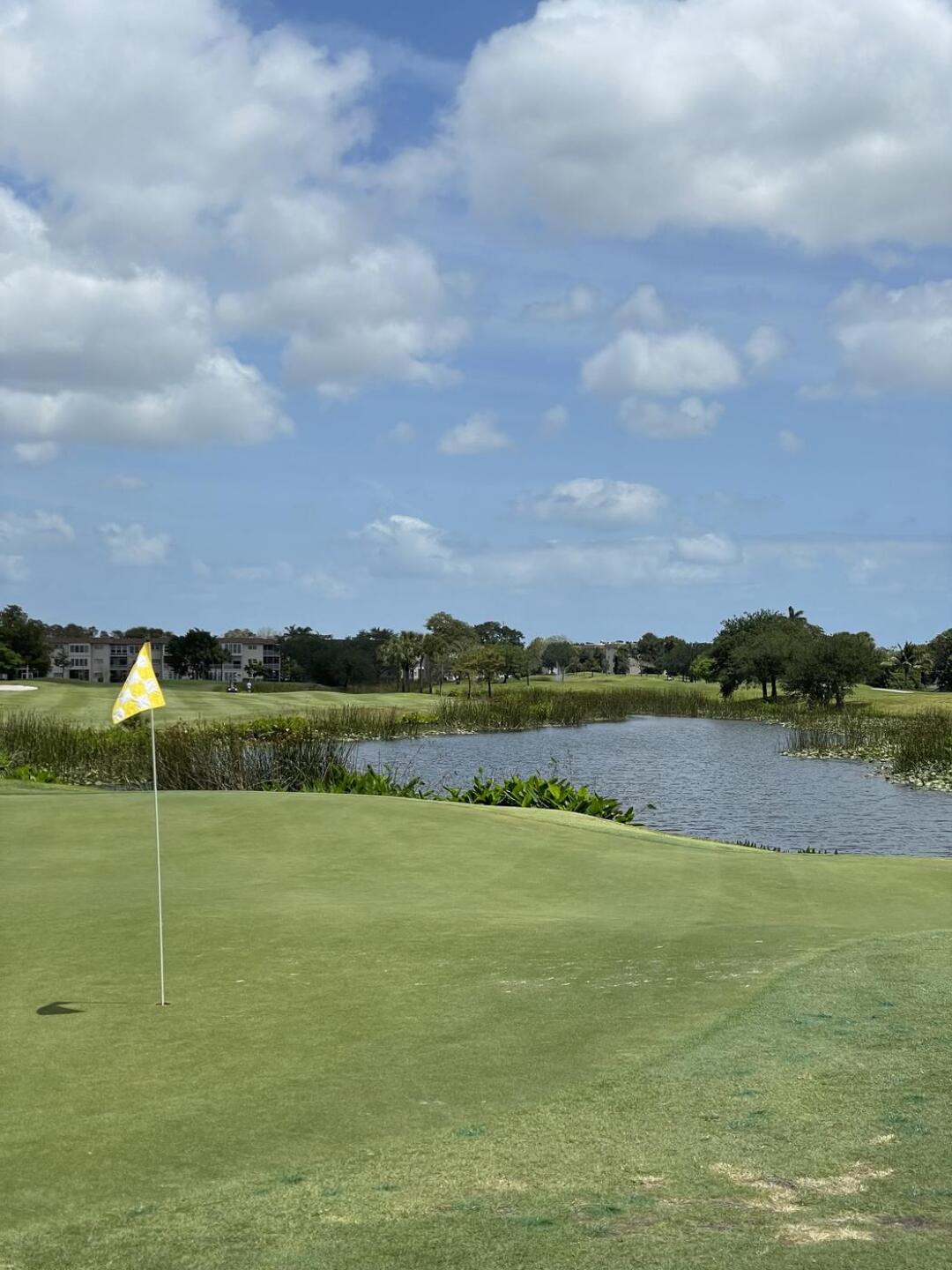 (Photo submitted by u155047046 on 04/21/2025)