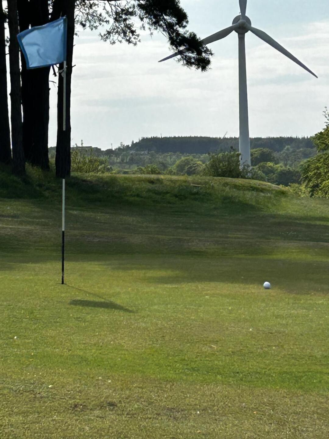 (Photo submitted by yQNwf2qIA2nXfLqwnZYr on 05/13/2025)