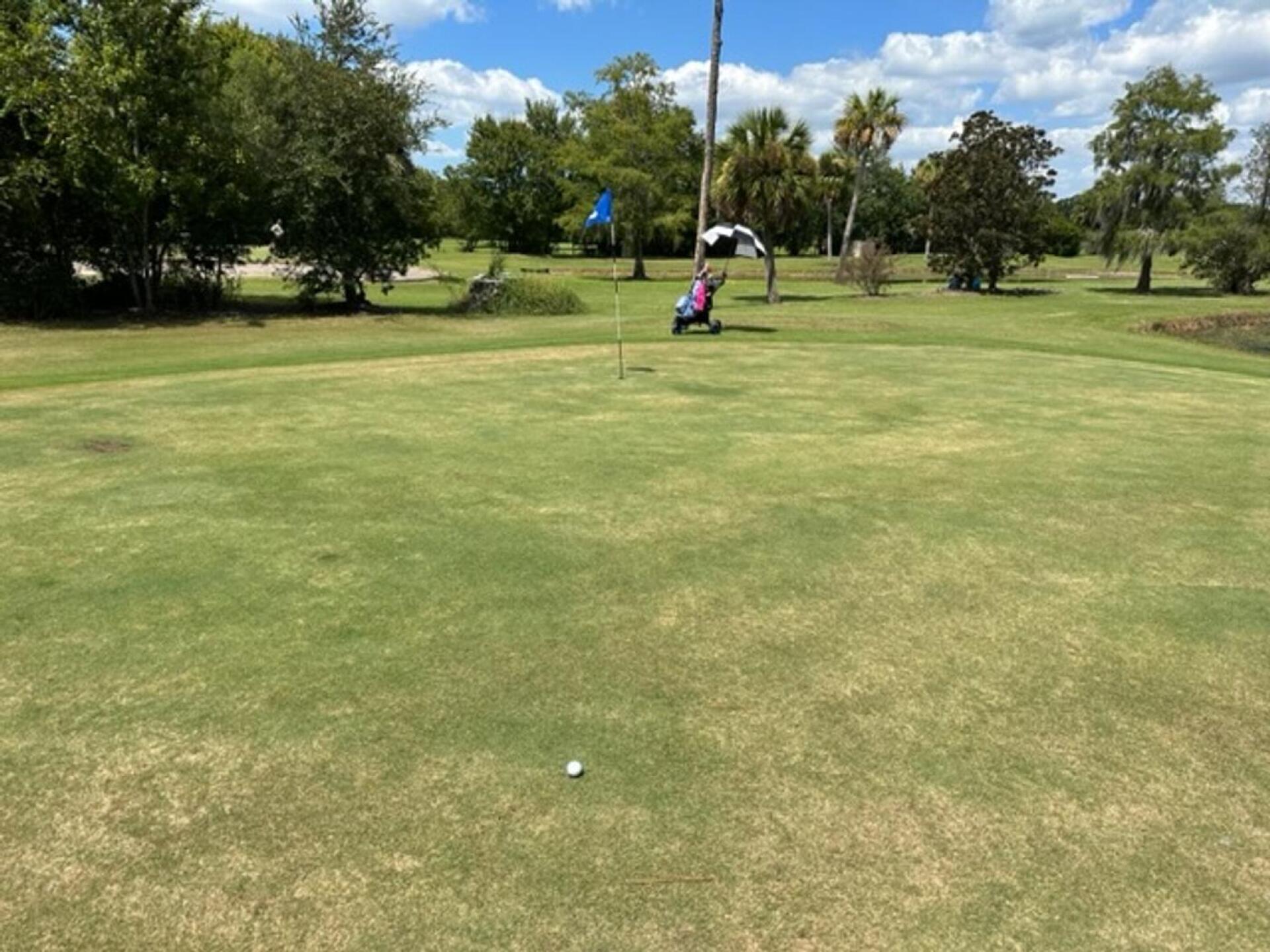 (Photo submitted by Tappestry on 09/09/2023)