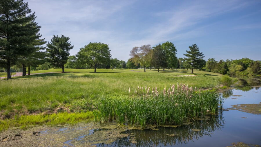 Poolesville GC: #8