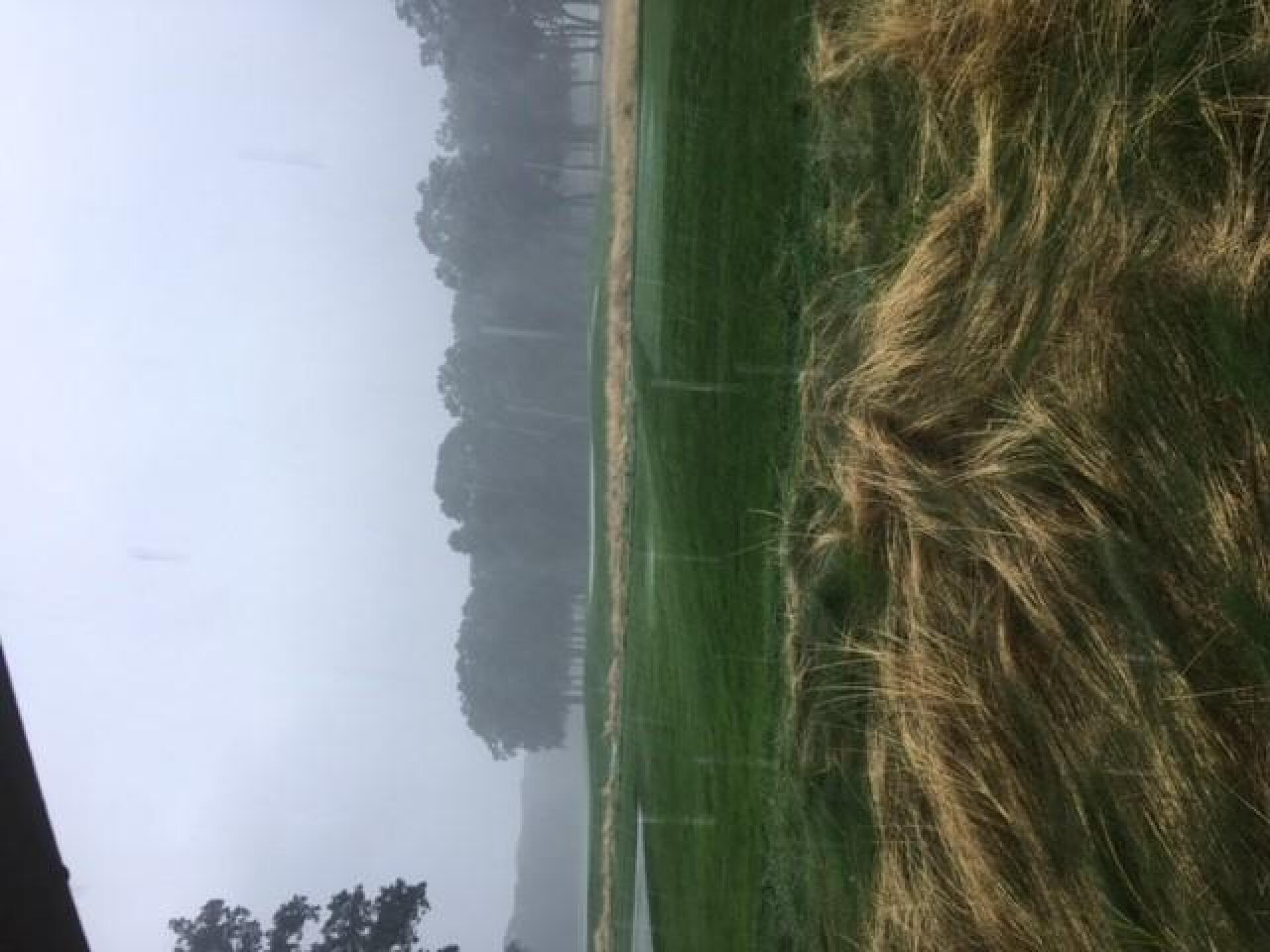 View from the gazebo (Photo submitted by u2041174 on 08/21/2017)