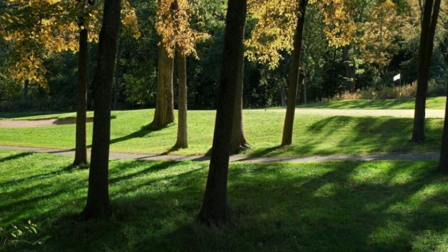 PrairieView Golf Club - 11th green